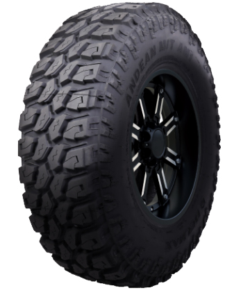 285/70/17 Delmax Andean M/T AM1 10PR